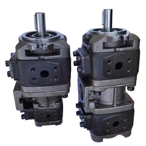 HG Duplex pump