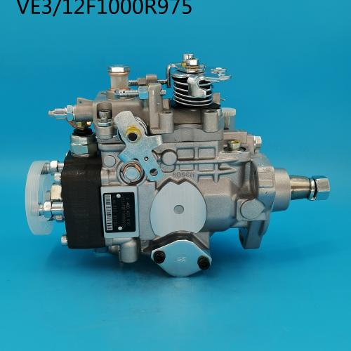 VE Diesel Fuel Injection Pump 0460423010 0 460 423 010
