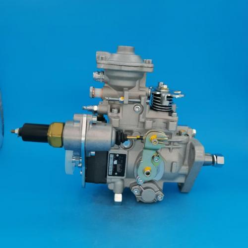 VE Diesel Fuel Injection Pump 0460423055 0 460 423 055