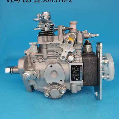 VE Diesel Fuel Injection Pump 0460424060 0 460 424 060