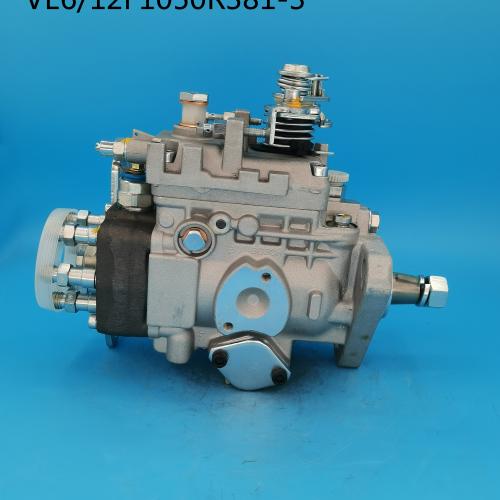 VE Diesel Fuel Injection Pump 0460426155/0 460 426 155